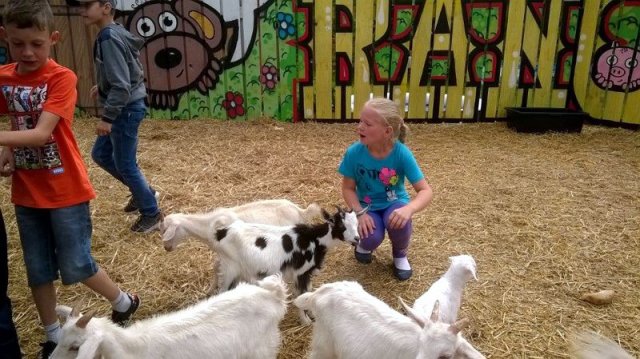 10485001_854120948017373_5451718783103395028_n