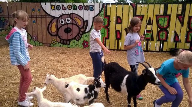 11141333_854121031350698_5306661789702758248_n