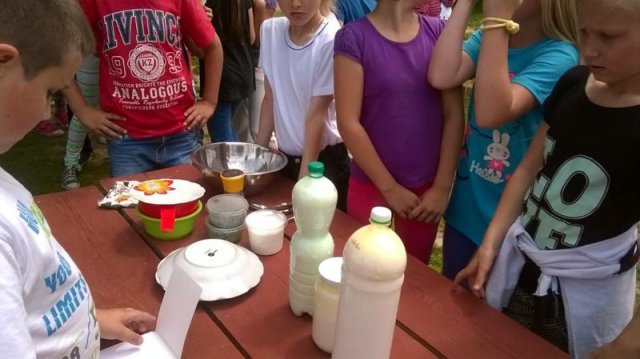 11350687_854129298016538_6324507904788095681_n