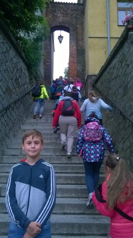 13466000_1034804779948988_2441283854578934856_n