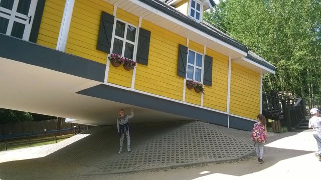 13407029_1031926293570170_9181941157988708645_n