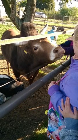 12143095_906646056098195_1235270594125177129_n