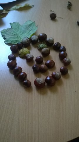 14494821_1114291705333628_3252950086051372821_n